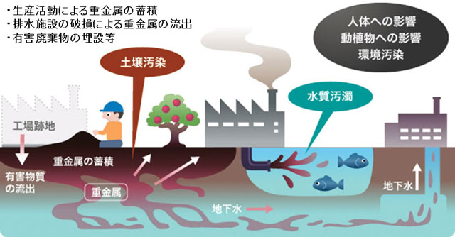 重金属汚染の特徴