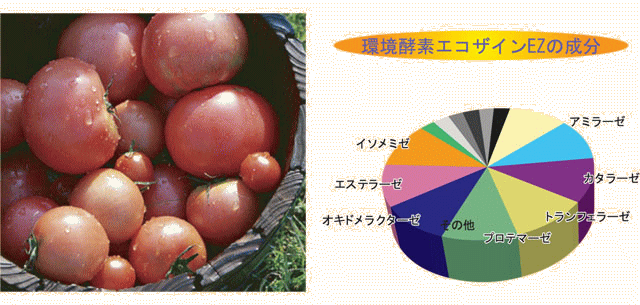エコザイン EZ・GX(環境酵素)