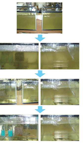エコバイオストーンによる湖沼水の浄化試験