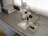 実体顕微鏡‐2