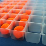 精密機器・自動検査装置の設計製作