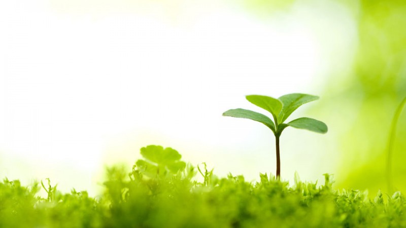 Eco Action