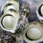 東芝凋落の原因とサザエさん視聴率低下とスポンサー撤退 コラム